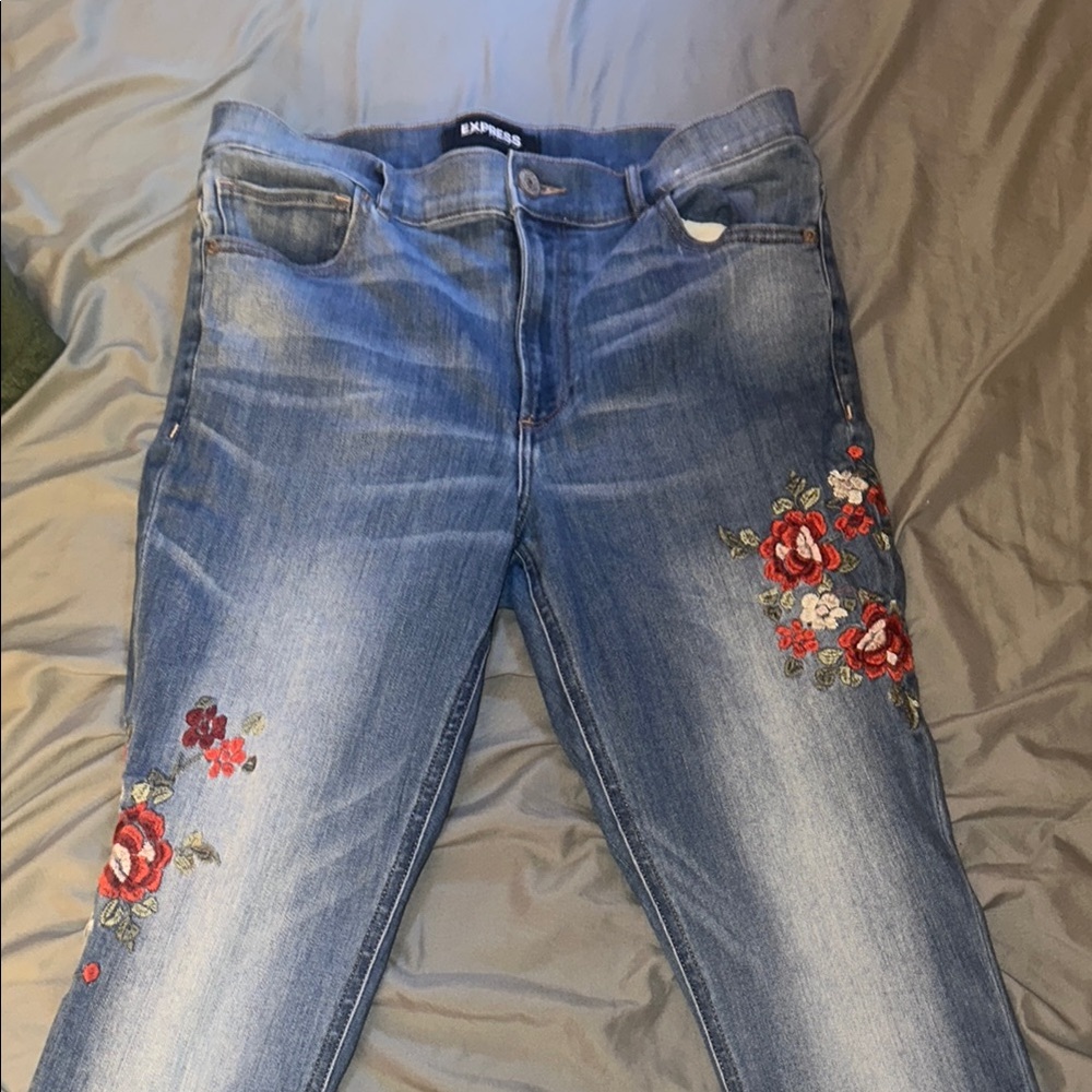 Express Blue Skinny Jeans with Floral Embroidery